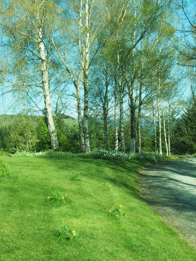 The Garden Room At Te Anau Country Accommodation Exterior photo